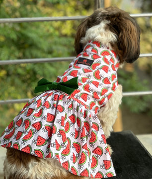 Pawgy Pets Daisy Melon Dress Pink for Dogs