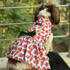 Daisy Melon Dress | Pink | For Dogs | Pawgy Pets
