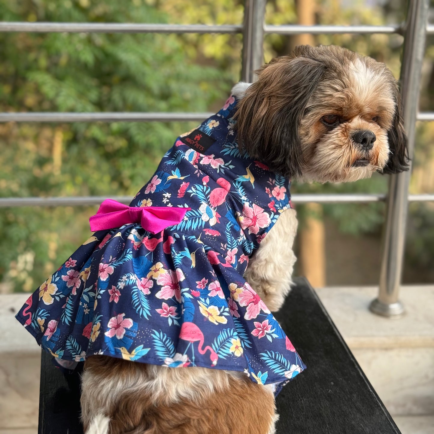 Hawaiian Flamingo Dress | Navy Blue | For Dogs