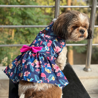 Hawaiian Flamingo Dress | Navy Blue | For Dogs