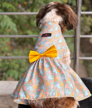 Pawgy Pets Mickey Overloaded Dress Pastel Green for Dogs
