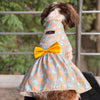 Mickey Overloaded Dress | Pastel Green | For Dogs | Pawgy Pets