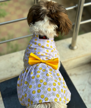 Pawgy Pets Smiley o clock dress Lavender for Dogs