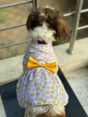 Smiley O'Clock Dress | Lavender | For Dogs | Pawgy Pets
