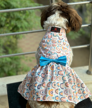 Pawgy Pets Rainbow dress off white for Dogs