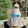 Rainbow Dress | Off White | For Dogs | Pawgy Pets