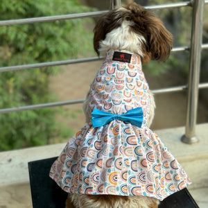 Rainbow Dress | Off White | For Dogs | Pawgy Pets