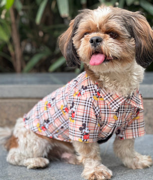 Pawgy Pets Mickey Check Shirt Beige for Dogs