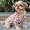 Mickey Check Shirt | Beige | For Dogs | Pawgy Pets