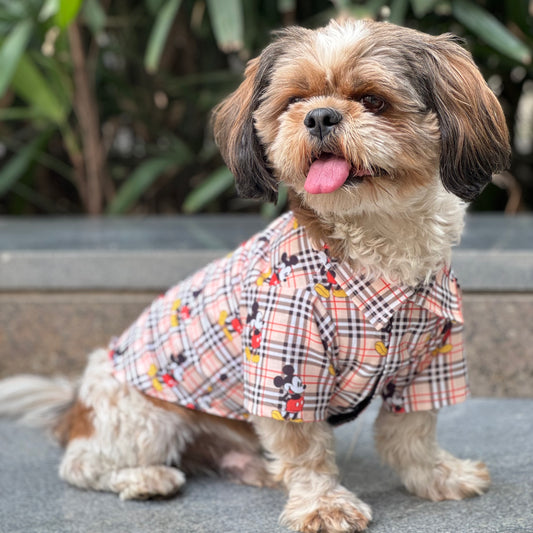 Pawgy Pets Mickey Check Shirt Beige for Dogs