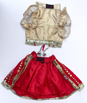 Pawgy Pets Red with Gold Lehenga for Dogs & Cats