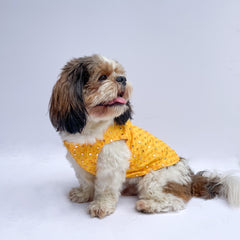 Pawgy Pets Festive Shirt Yellow Mirror Work for Dogs