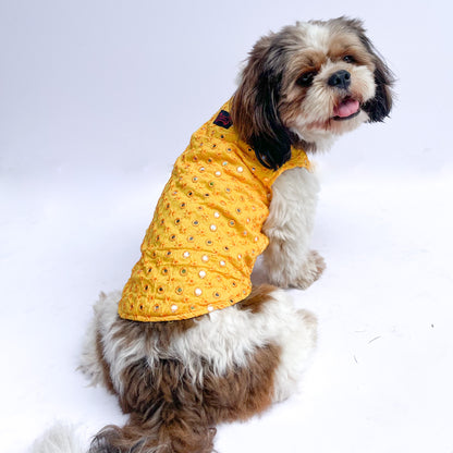 Pawgy Pets Festive Shirt Yellow Mirror Work for Dogs