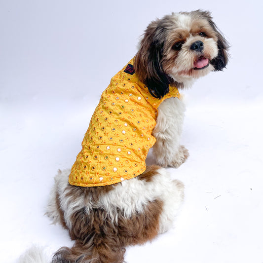 Pawgy Pets Festive Shirt Yellow Mirror Work for Dogs