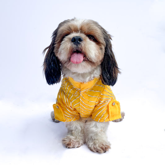 Pawgy Pets Festive Shirt Yellow Gota for Dogs