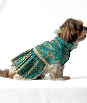 Pawgy Pets Occasion wear Dress Teal for Dogs
