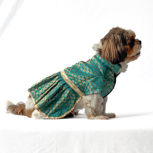 Pawgy Pets Occasion wear Dress Teal for Dogs