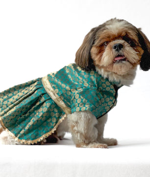 Pawgy Pets Occasion wear Dress Teal for Dogs