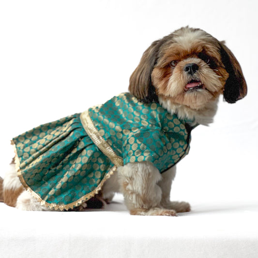 Pawgy Pets Occasion wear Dress Teal for Dogs