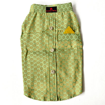 Pista Green Sherwani | For Dogs | Pawgy Pets