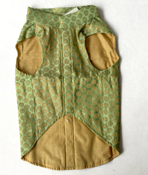 Pawgy Pets Sherwani Pista Green for Dogs