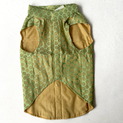 Pista Green Sherwani | For Dogs | Pawgy Pets