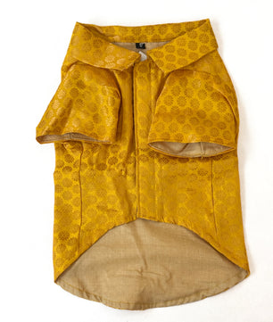 Pawgy Pets Occasion wear shirt Yellow for Dogs