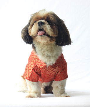 Pawgy Pets Occasion Wear Shirt: Red for Dogs