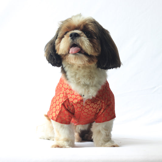 Pawgy Pets Occasion Wear Shirt: Red for Dogs