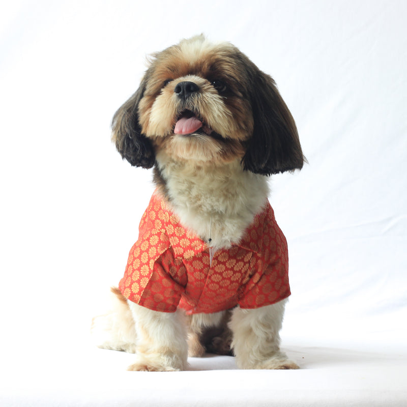 Red Occasion Wear Shirt | For Dogs | Pawgy Pets