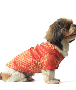 Pawgy Pets Occasion Wear Shirt: Red for Dogs