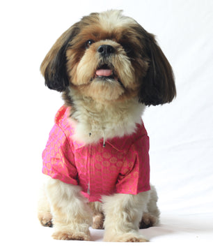 Pawgy Pets Occasion wear shirt Pink for Dogs