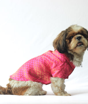 Pawgy Pets Occasion wear shirt Pink for Dogs