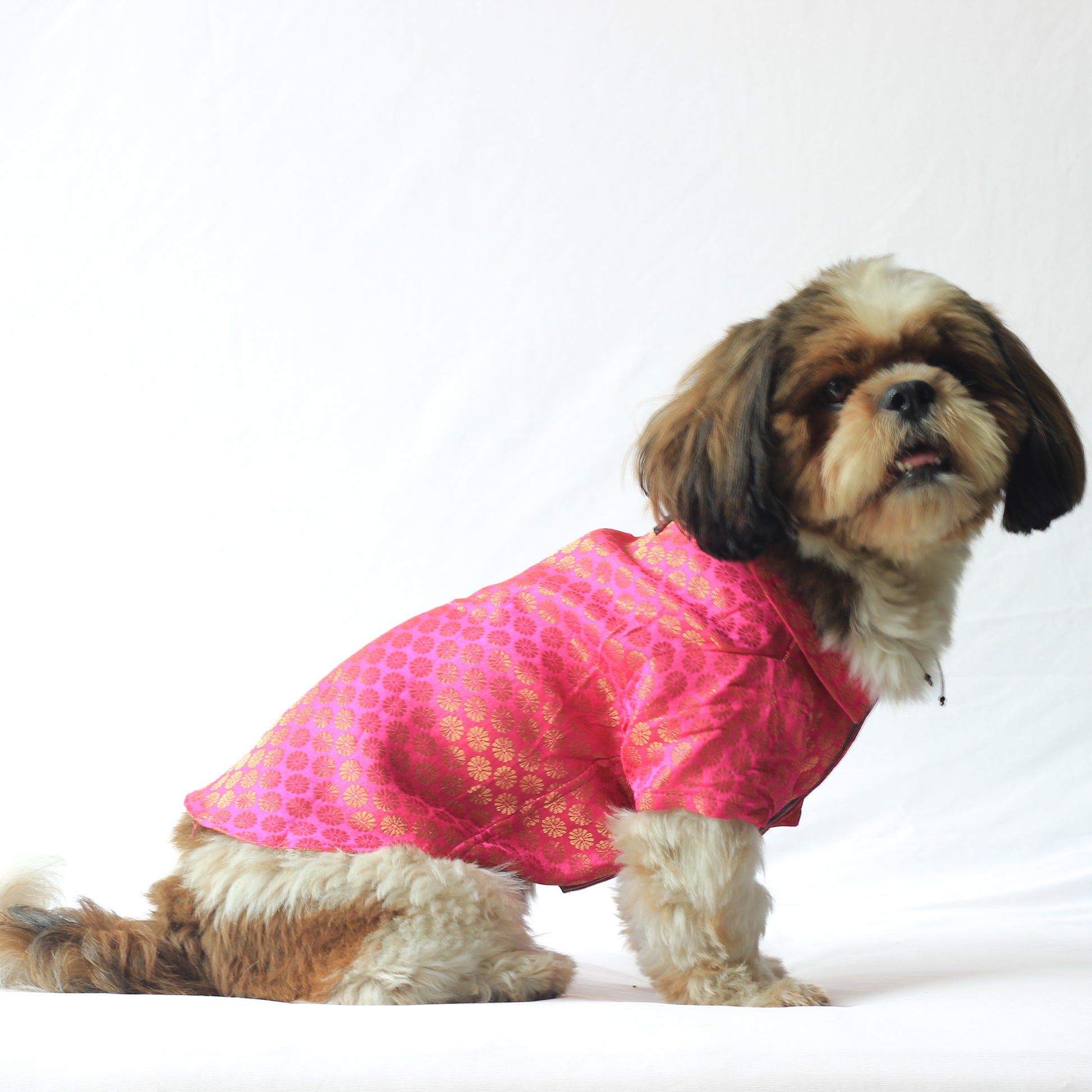Pawgy Pets Occasion wear shirt Pink for Dogs