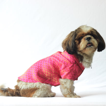 Pink Occasion Wear Shirt | For Dogs | Pawgy Pets