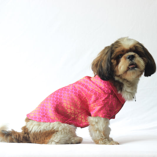 Pawgy Pets Occasion wear shirt Pink for Dogs