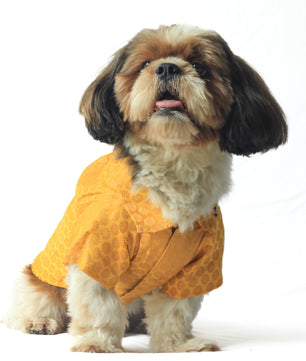Pawgy Pets Occasion wear shirt Yellow for Dogs