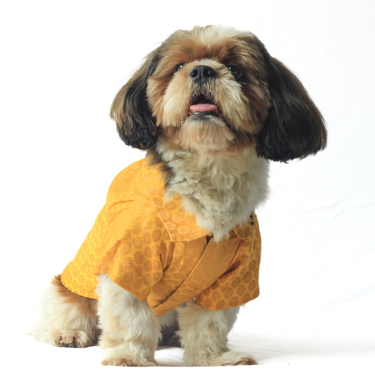 Pawgy Pets Occasion wear shirt Yellow for Dogs