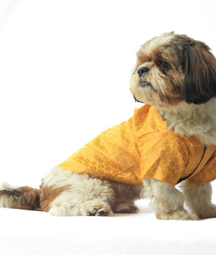 Pawgy Pets Occasion wear shirt Yellow for Dogs