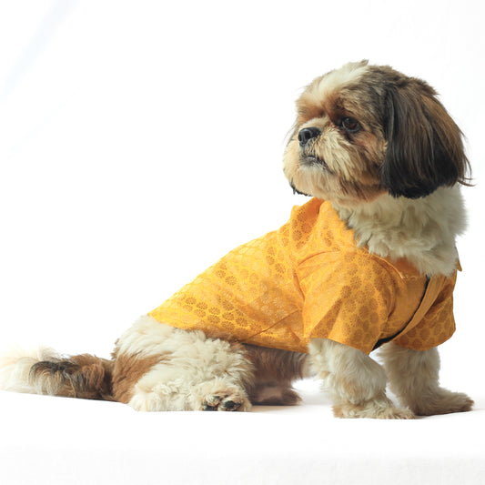 Pawgy Pets Occasion wear shirt Yellow for Dogs