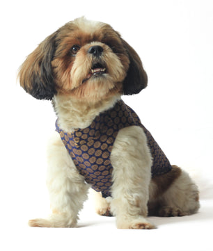 Pawgy Pets Sherwani Navy Blue for Dogs