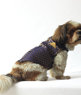 Pawgy Pets Sherwani Navy Blue for Dogs