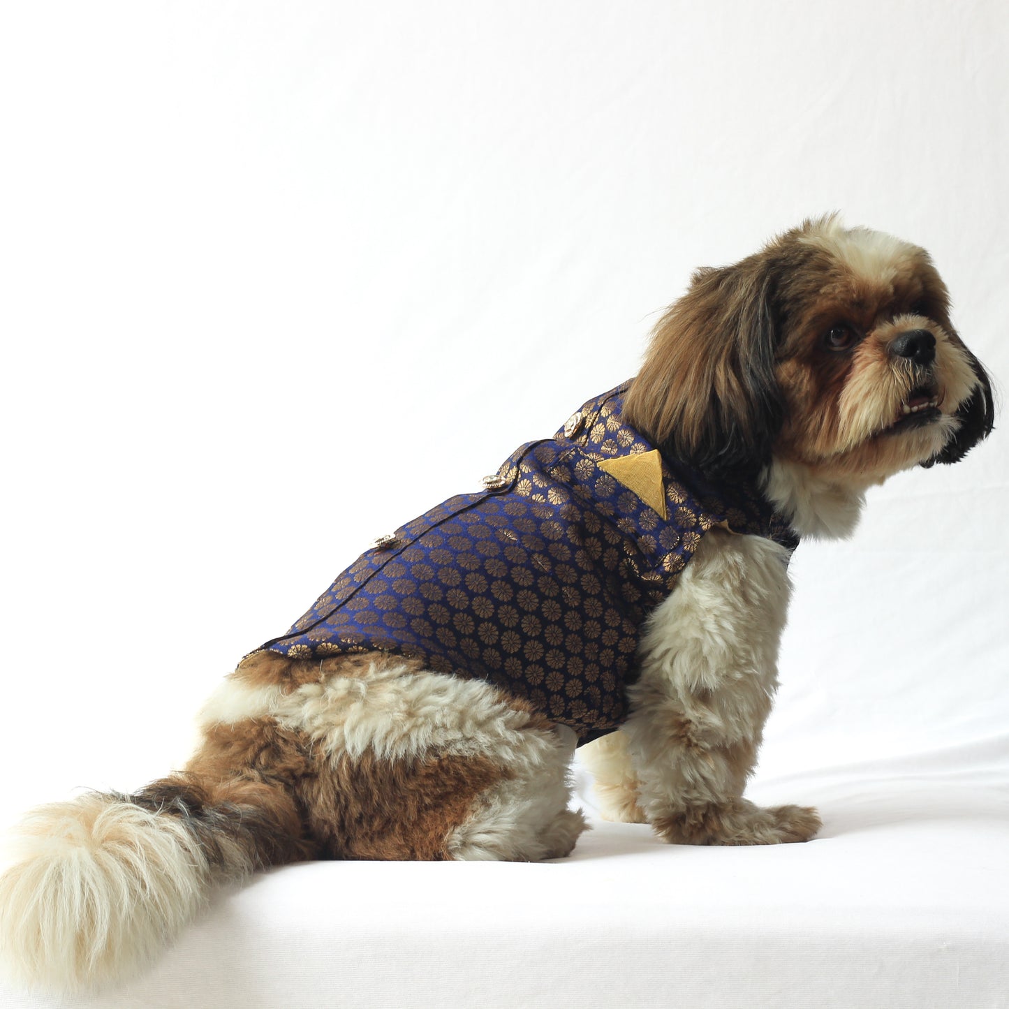 Navy Blue Sherwani | For Dogs | Pawgy Pets