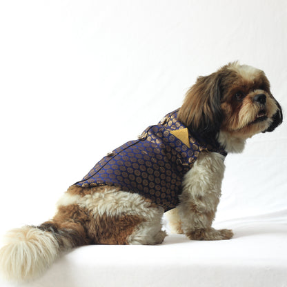 Navy Blue Sherwani | For Dogs | Pawgy Pets