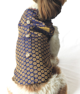 Pawgy Pets Sherwani Navy Blue for Dogs