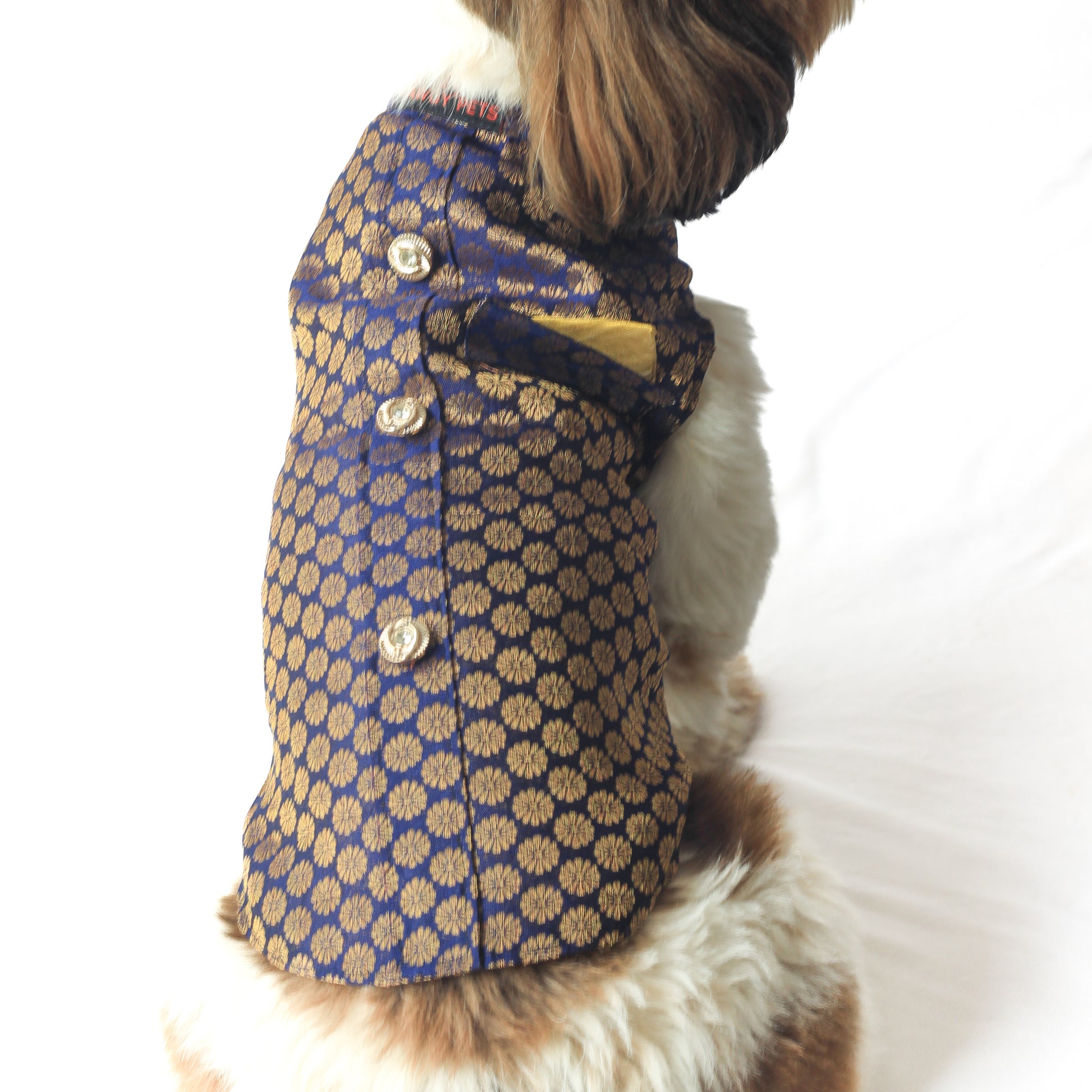 Pawgy Pets Sherwani Navy Blue for Dogs