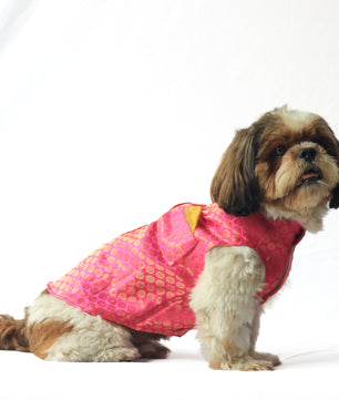 Pawgy Pets Sherwani Pink for Dogs
