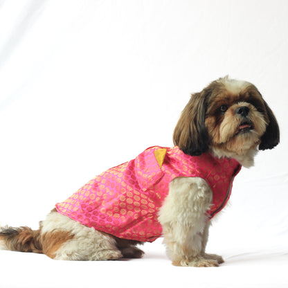 Pink Sherwani | For Dogs | Pawgy Pets