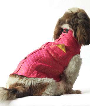 Pawgy Pets Sherwani Pink for Dogs