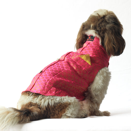 Pawgy Pets Sherwani Pink for Dogs